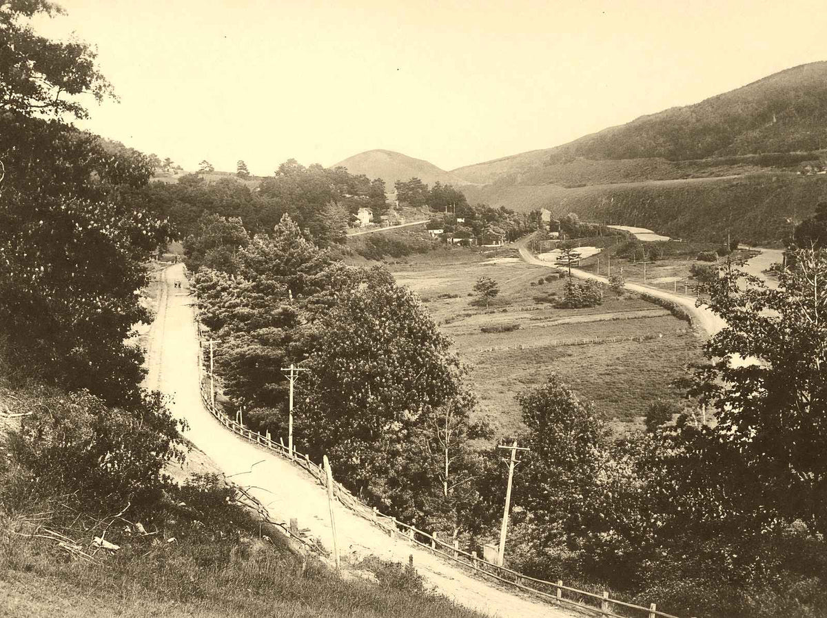 Homesville from Woodland Park, Ashland 1906 vintage photo print