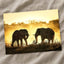 Bull Elephants Fighting Photo Print Wall Decor