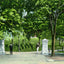 University of Tennessee Gateway, Knoxville TN vintage print