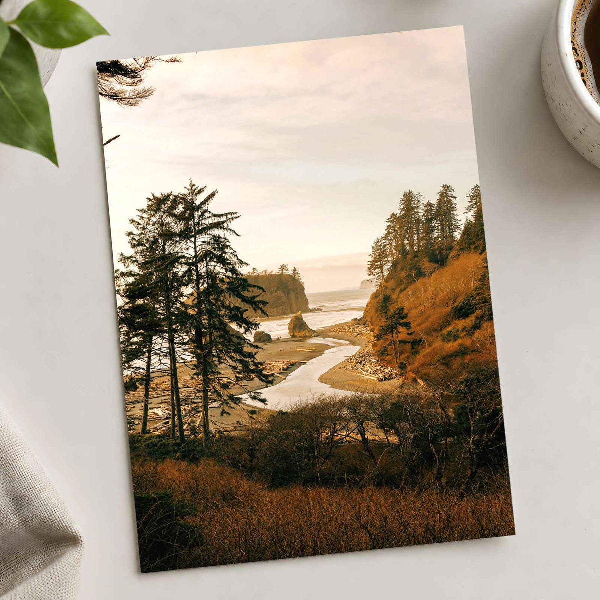 Ruby Beach in Forks, Washington by Hans Photo Print Wall Decor