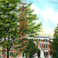 College Hall, Vanderbilt Univ, Nashville, TN vintage print