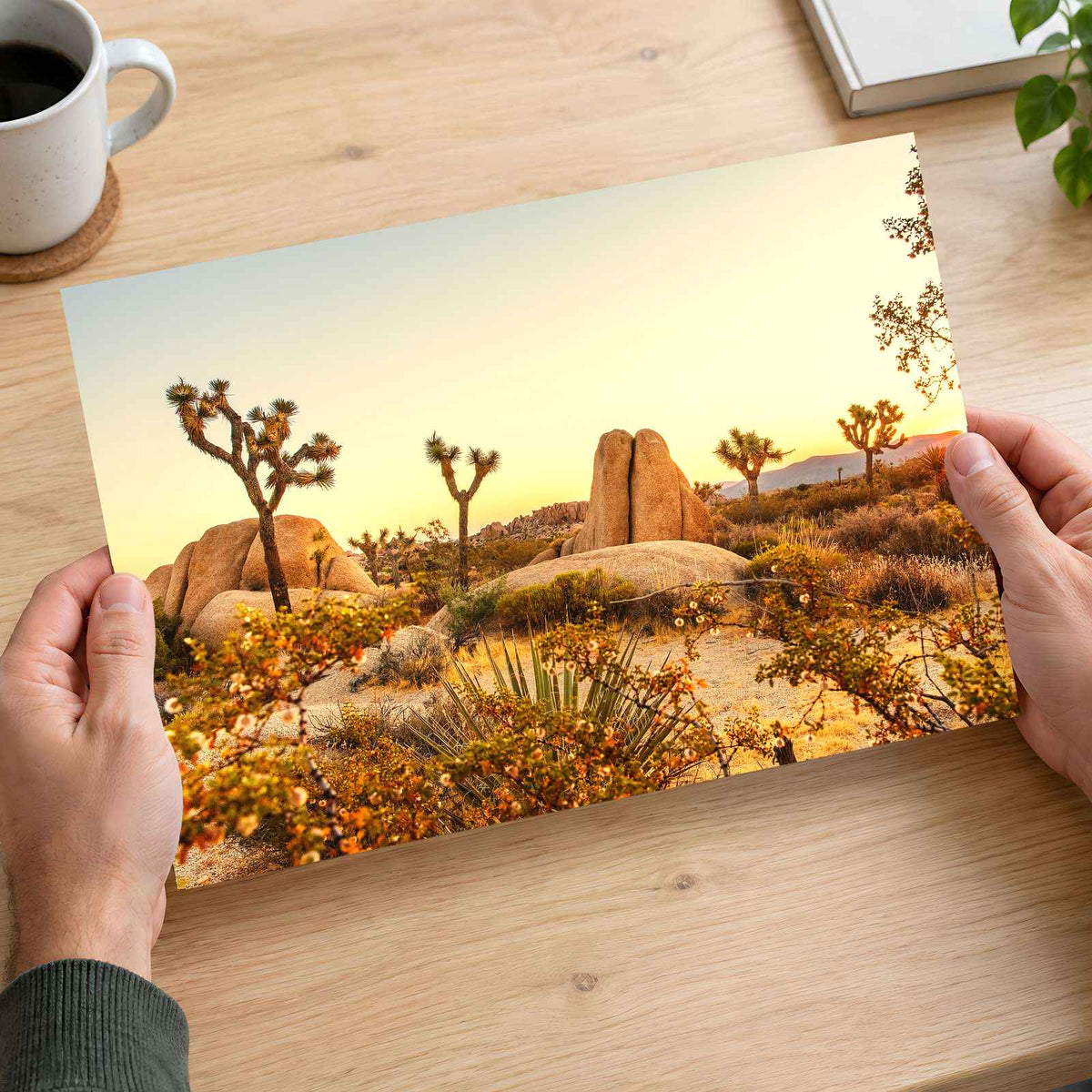 Joshua Tree National Park in California by Joshua Earle Photo Print Wall Decor