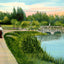 Lily Pond, Washington Park, Milwaukee, WI vintage print