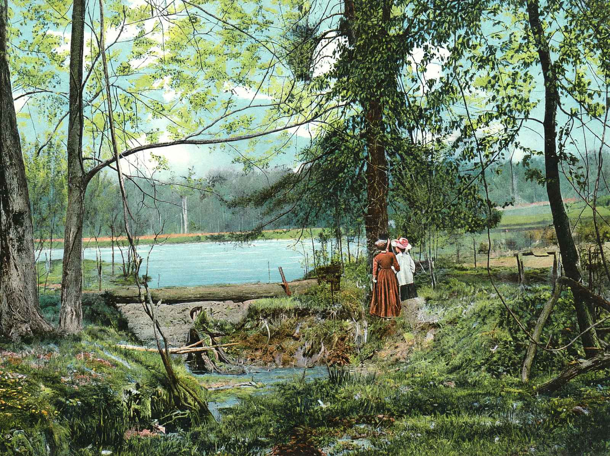 Swan Lake, Overton Park, Memphis, TN in 1905 vintage print
