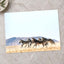 Haartmans Mountain Zebra, Africa Photo Print Wall Decor