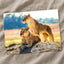 Two Lionesses in Savanna Photo Print Wall Decor