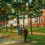 Laurel in the Pines, Lakewood, NJ in 1905 art print