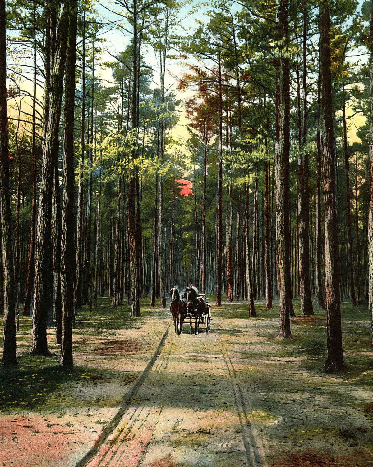 Cathedral Drive, Lakewood, NJ in 1905 vintage print