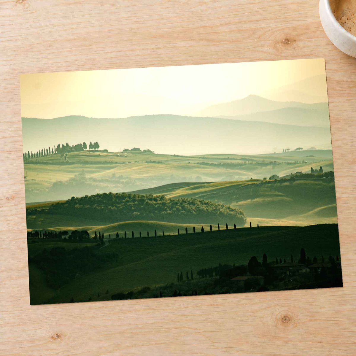 Vineyards in Tuscany, Italy by Sylwia Bartyzel Photo Print Wall Decor