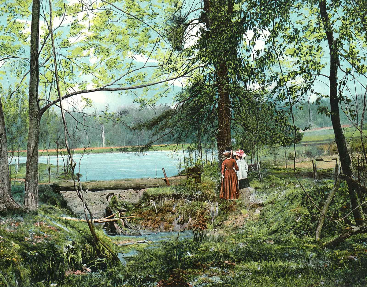 Swan Lake, Overton Park, Memphis, TN in 1905 vintage print