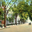 East Main Street, Elizabeth City, NC in 1907 vintage print
