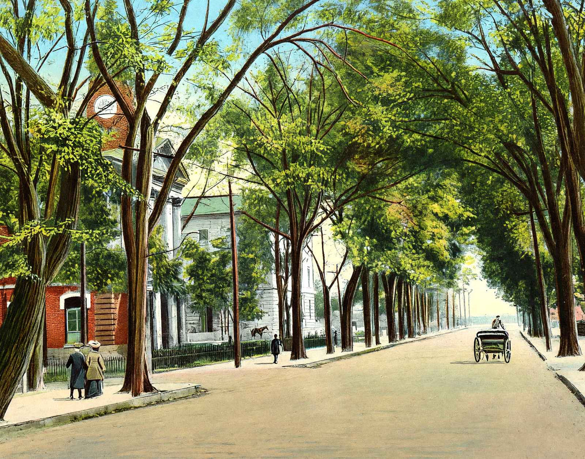 East Main Street, Elizabeth City, NC in 1907 vintage print