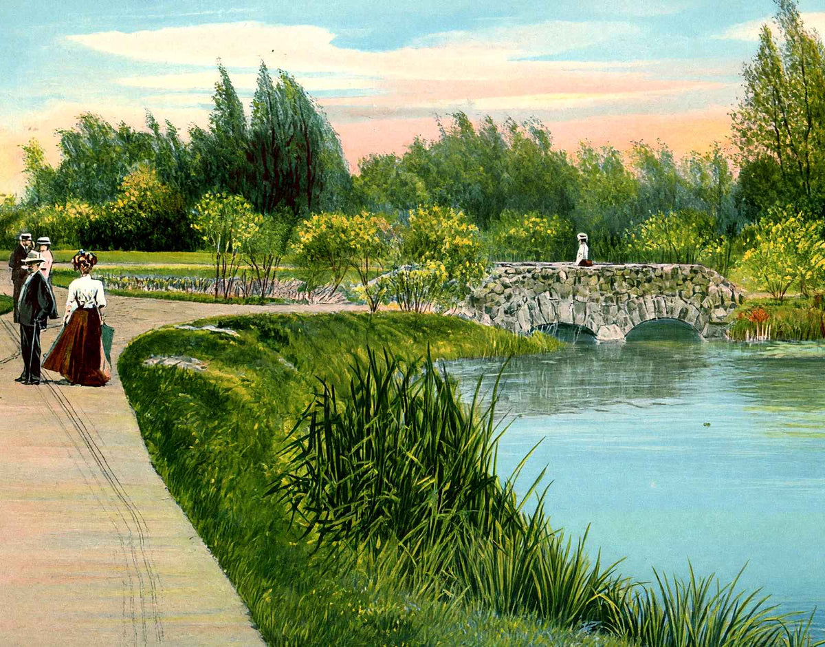 Lily Pond, Washington Park, Milwaukee, WI vintage print