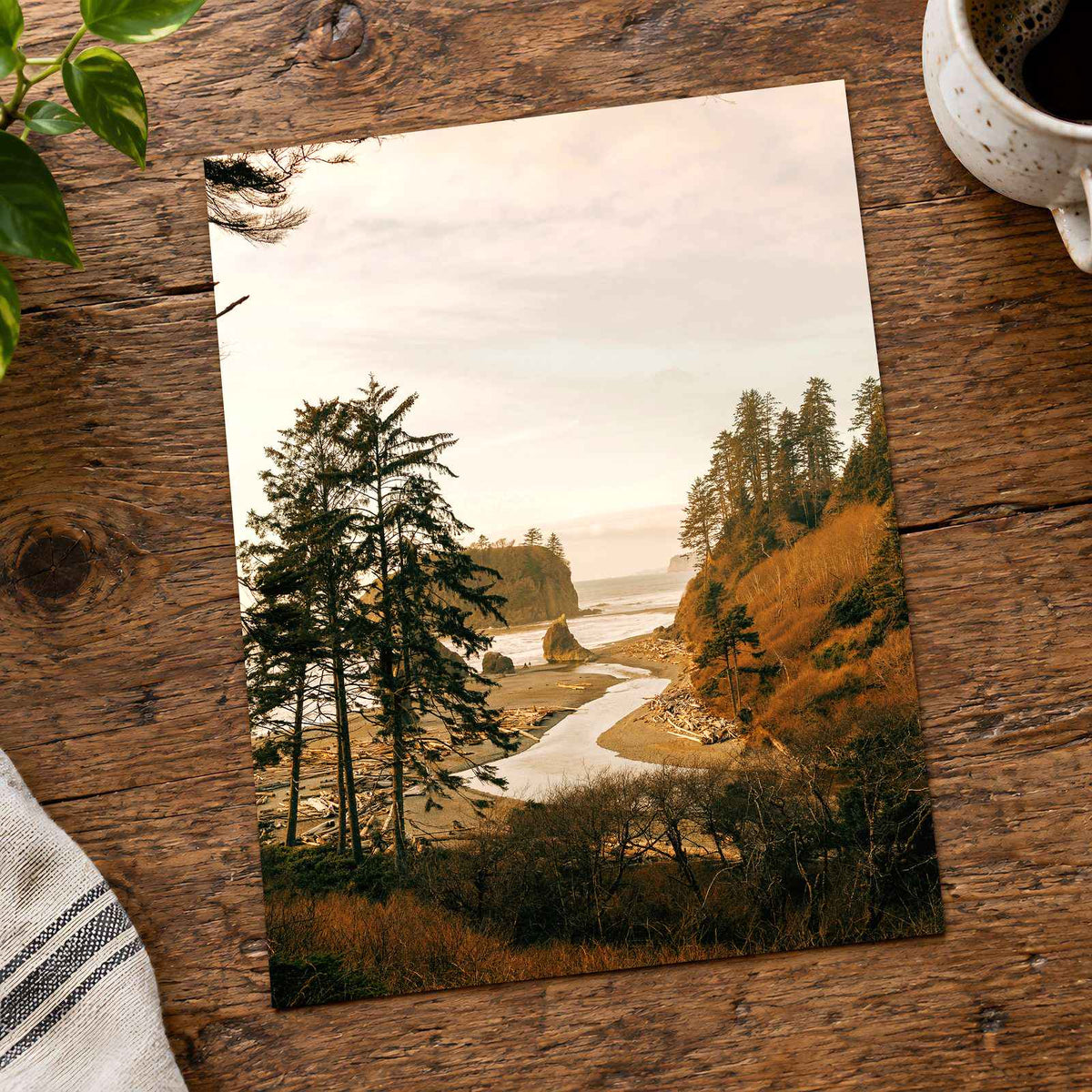 Ruby Beach in Forks, Washington by Hans Photo Print Wall Decor
