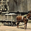 Coal Mining Dirt Chutes in 1908 vintage print