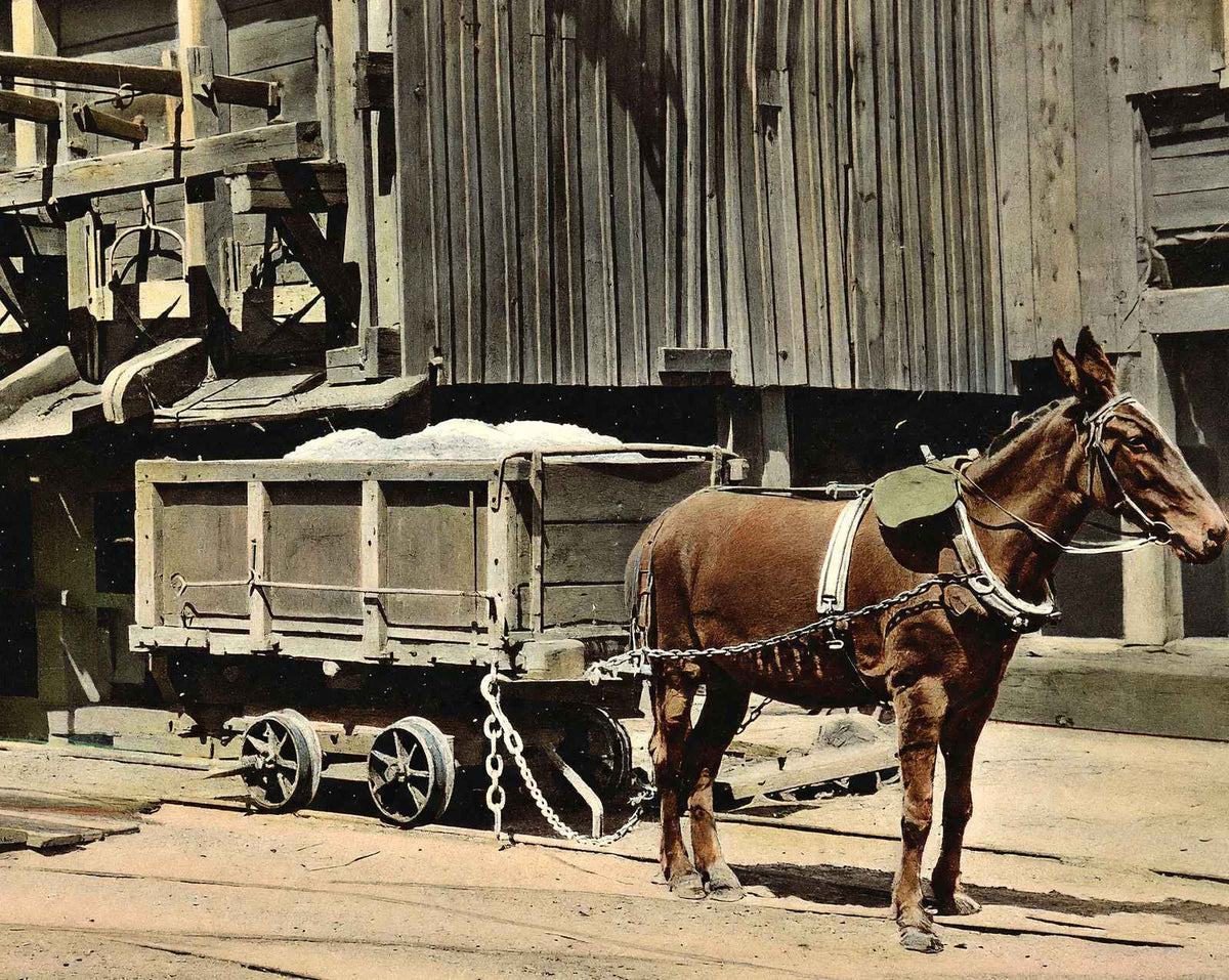 Coal Mining Dirt Chutes in 1908 vintage print