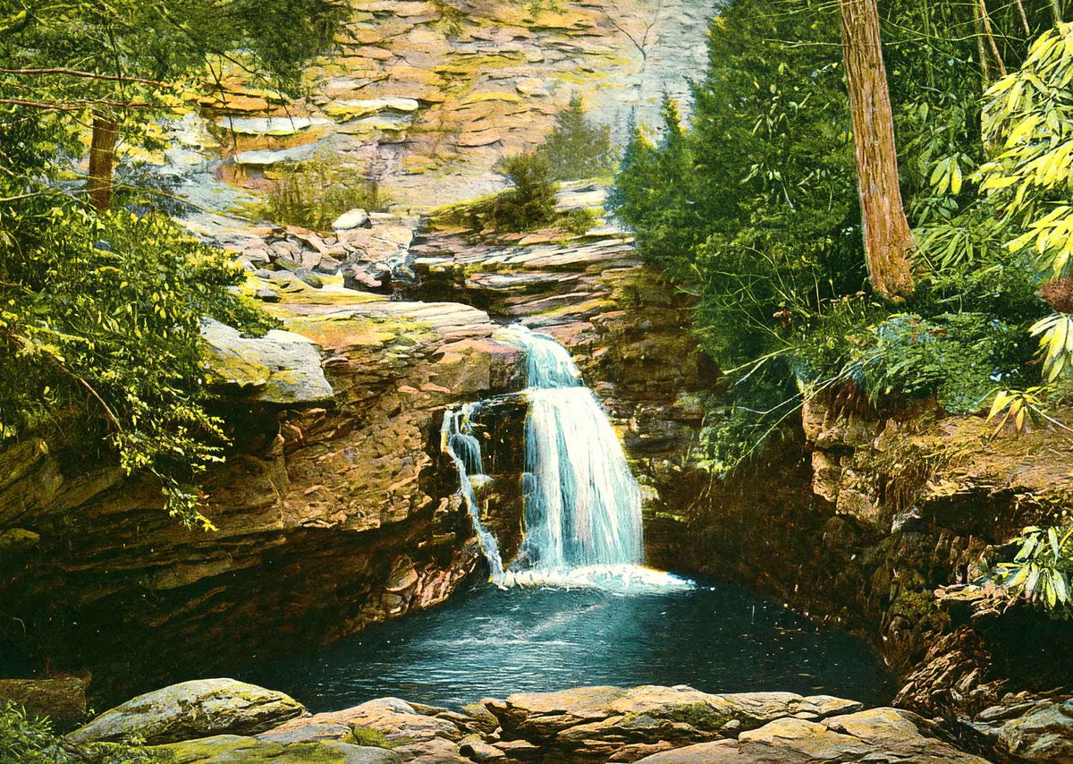 Falls at Nay Aug Park, Scranton, PA in 1907 vintage print