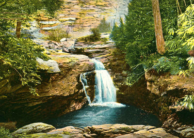 Falls at Nay Aug Park, Scranton, PA in 1907 vintage print