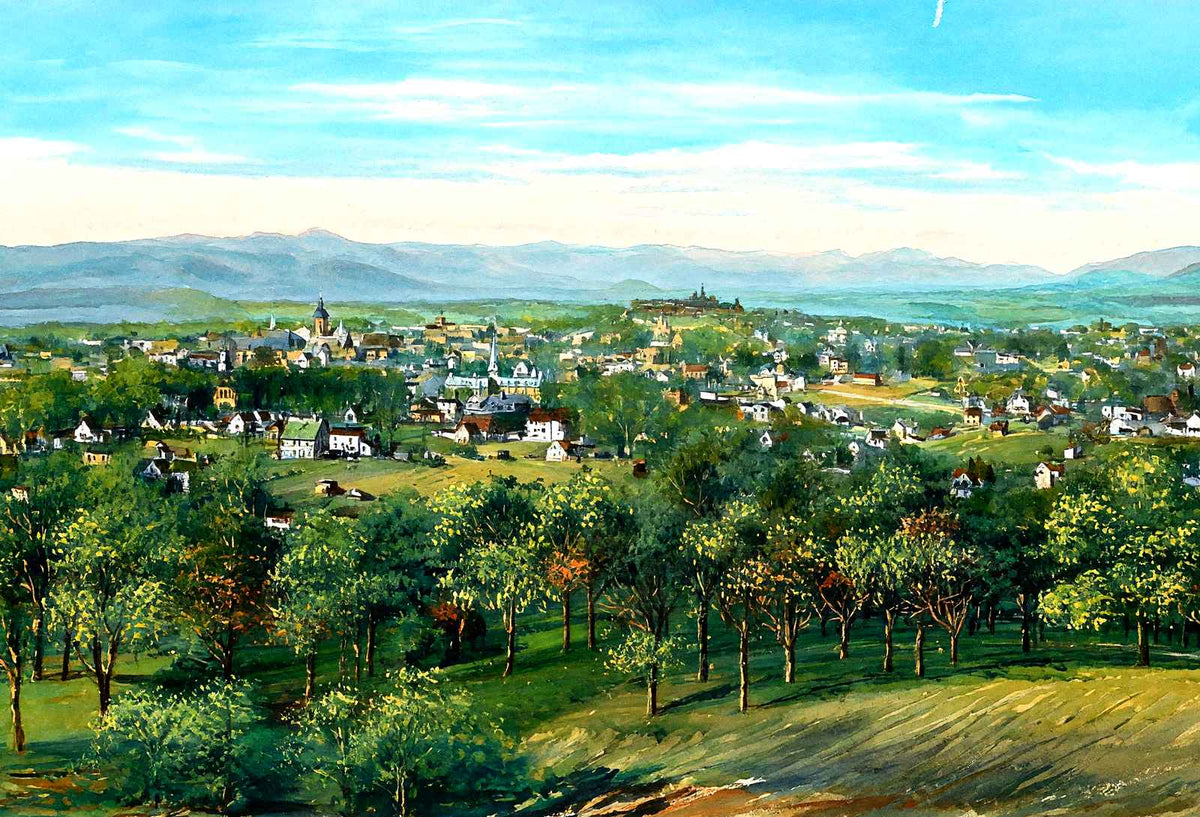 Asheville from Beaumont, NC in 1906 painting
