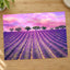 Beautiful Lavender Field in France Photo Print Wall Decor