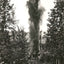 Torpedoing an Oil Well, Bradford PA in 1904 vintage photo print