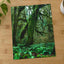 Trees and Ferns in Olympic National Park by Joshua Earle Photo Print Wall Decor