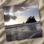 Beach in Olympic National Park by Joshua Earle Photo Print Wall Decor