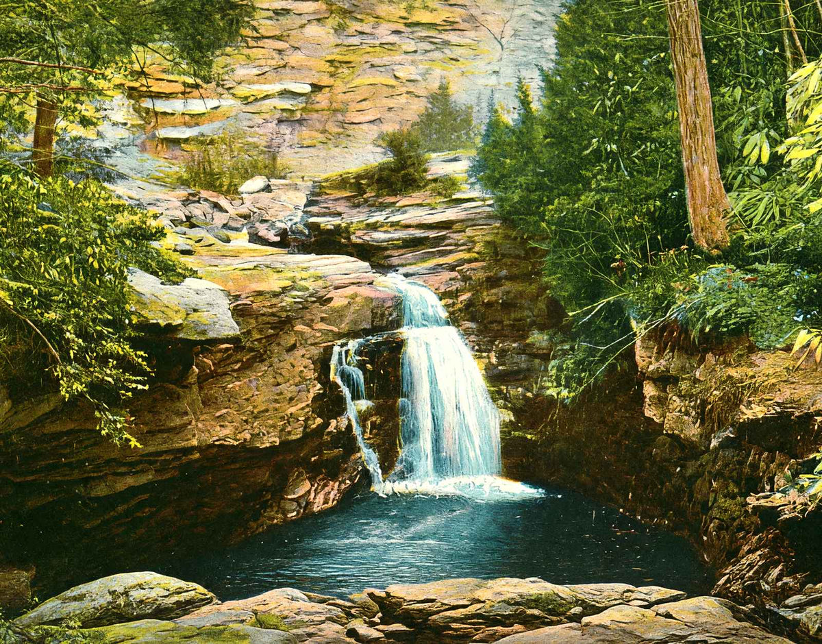 Falls at Nay Aug Park, Scranton, PA in 1907 vintage print