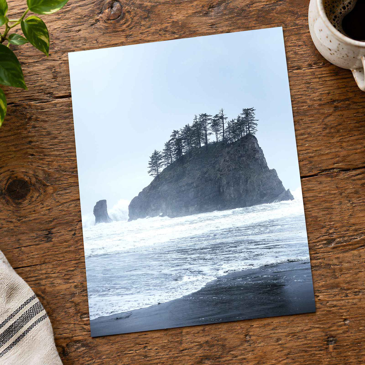 Treed Rock in Ocean by Joshua Earle Photo Print Wall Decor