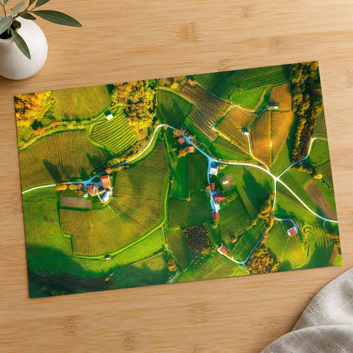 Vineyards from Above by Ales Krivec Photo Print Wall Decor