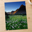 Rocky Mountains National Park Flowers Photo Print Wall Decor