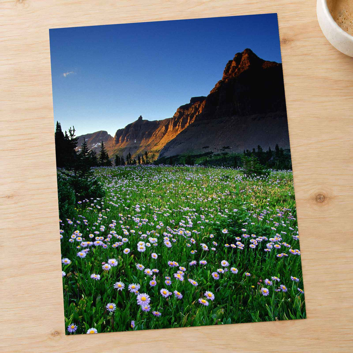 Rocky Mountains National Park Flowers Photo Print Wall Decor