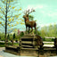 Fountain City Reservoir, Reading PA in 1907 vintage print