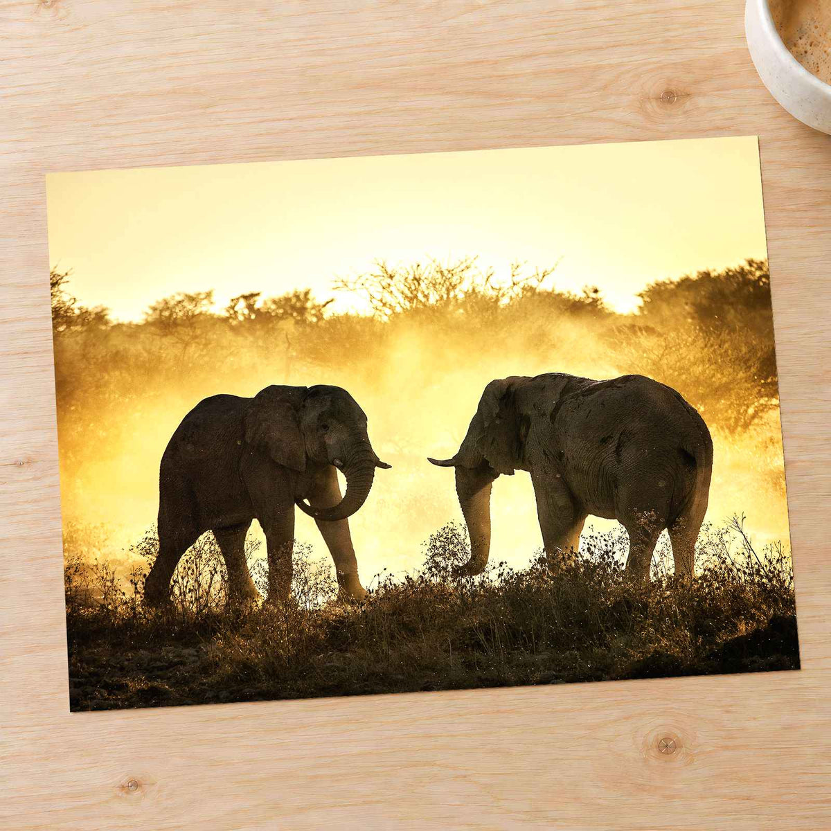 Bull Elephants Fighting Photo Print Wall Decor