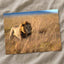 Lion Portrait in Maasai Mara, Kenya Photo Print Wall Decor