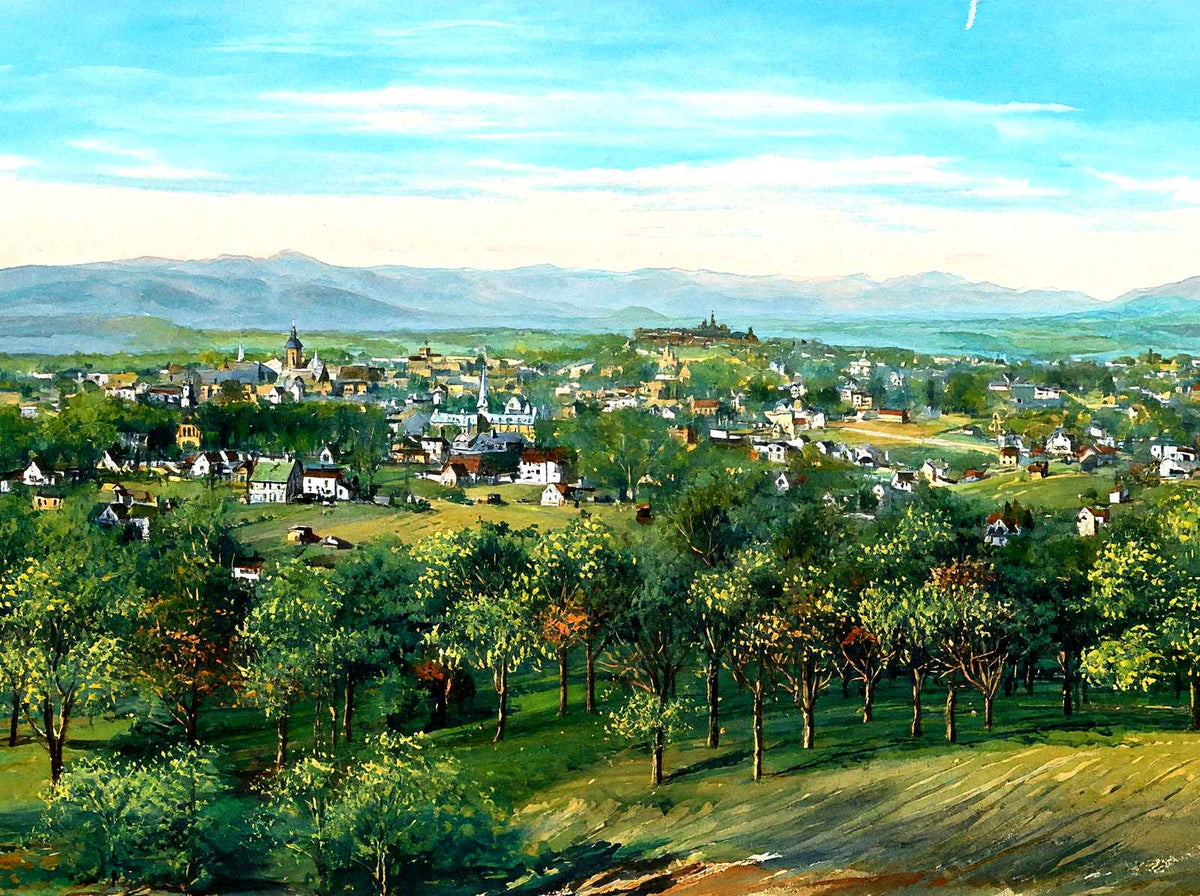 Asheville from Beaumont, NC in 1906 painting