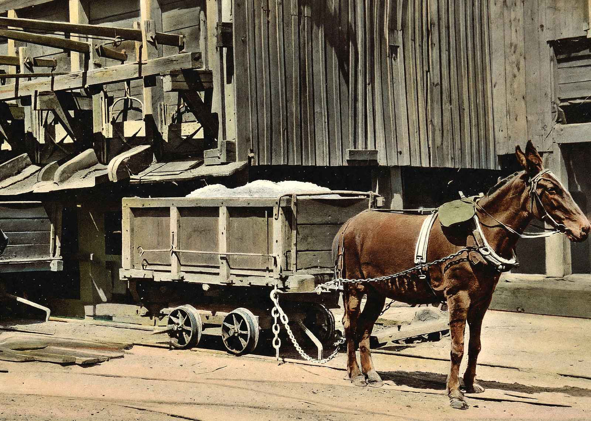 Coal Mining Dirt Chutes in 1908 vintage print