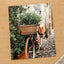 Flower Basket on Bicycle in Rome by Anita Austvika Photo Print Wall Decor