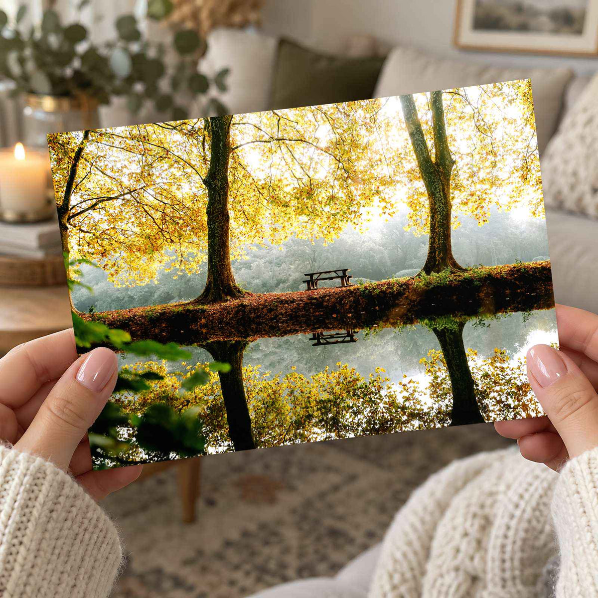 Trees, Lake and Bench on Reflecting Water by Mathieu Odin Photo Print Wall Decor