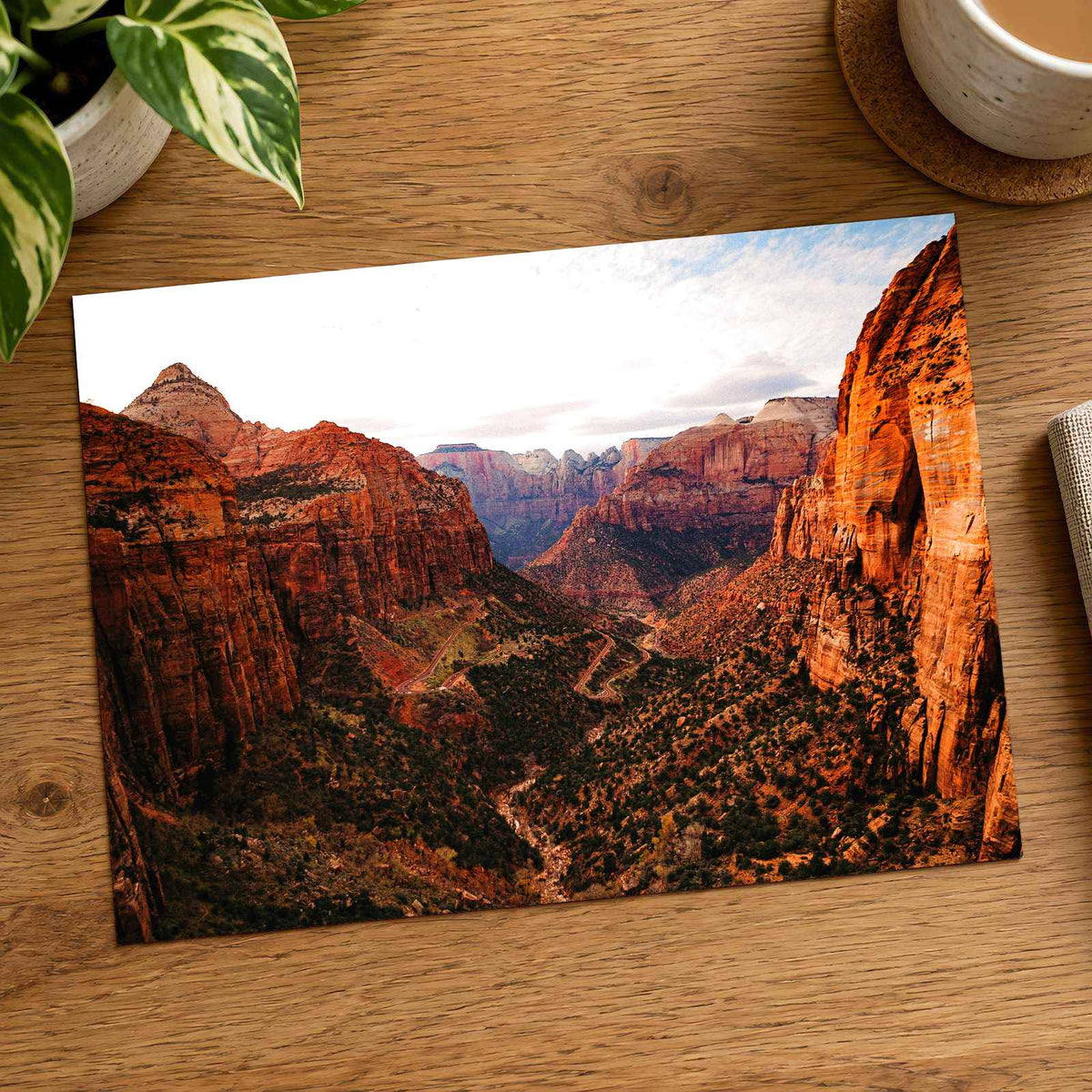 Zion National Park in Utah by Colin + Meg Photo Print Wall Decor