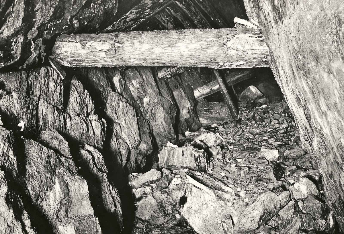 Randolph Shaft, Gold Hill, NC in 1905 photo print