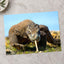 Komodo Dragon Photo Print Wall Decor