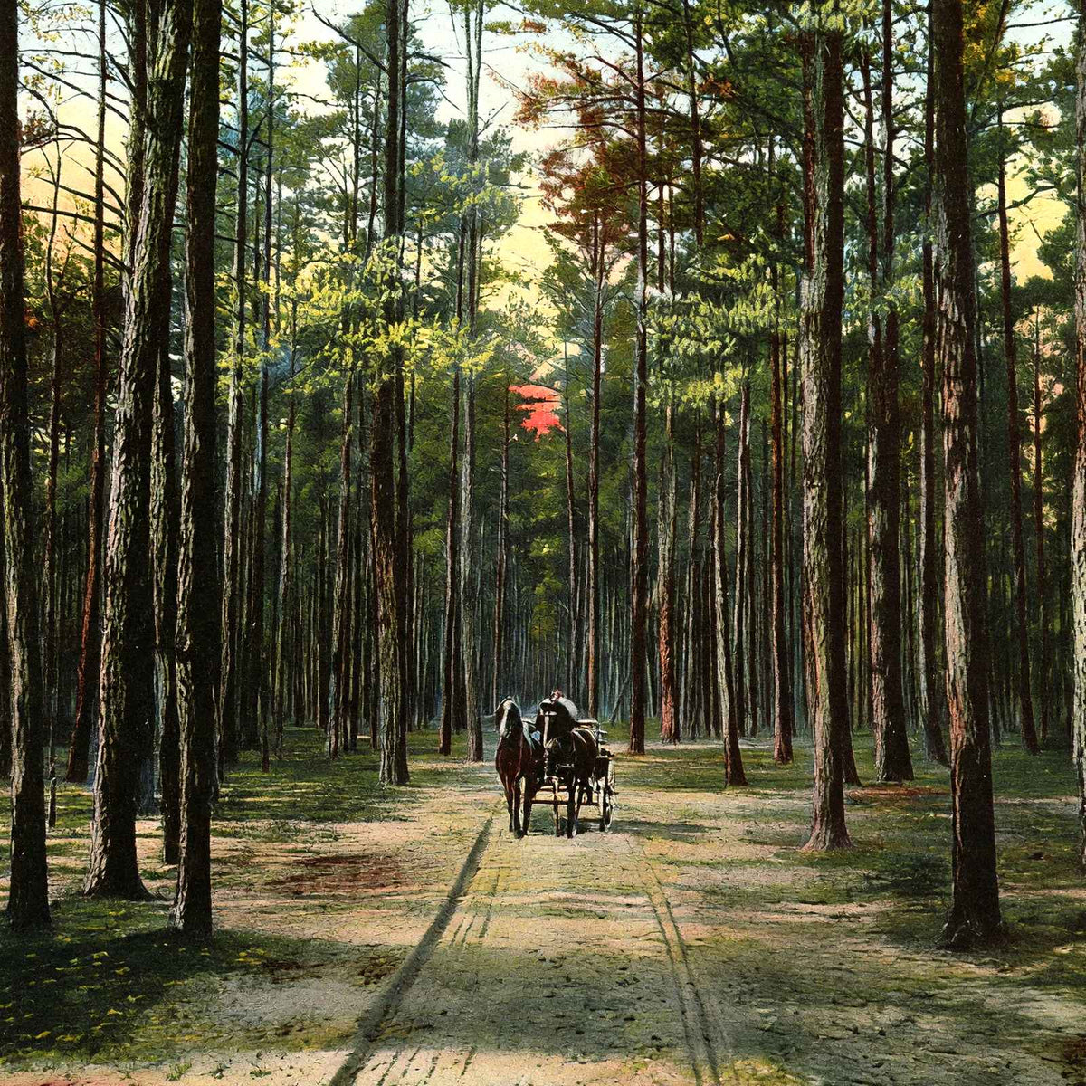 Cathedral Drive, Lakewood, NJ in 1905 vintage print