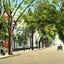 East Main Street, Elizabeth City, NC in 1907 vintage print