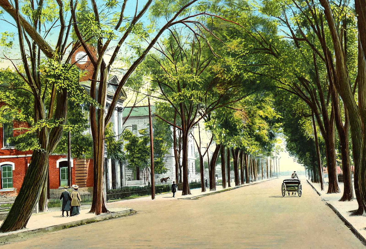 East Main Street, Elizabeth City, NC in 1907 vintage print