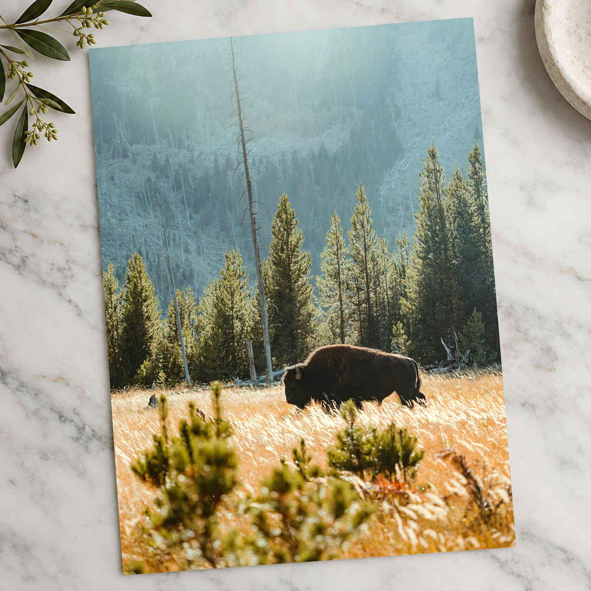 Buffalo Bison in Yellowstone, Wyoming by Joe Eitzen Photo Print Wall Decor