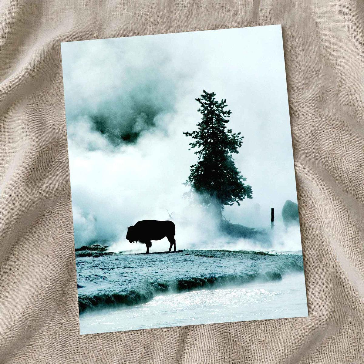 Yellowstone National Park in Wyoming Photo Print Wall Decor