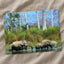 Herd of Elephants in India Photo Print Wall Decor