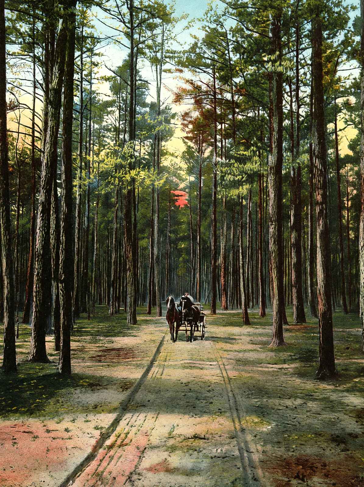 Cathedral Drive, Lakewood, NJ in 1905 vintage print