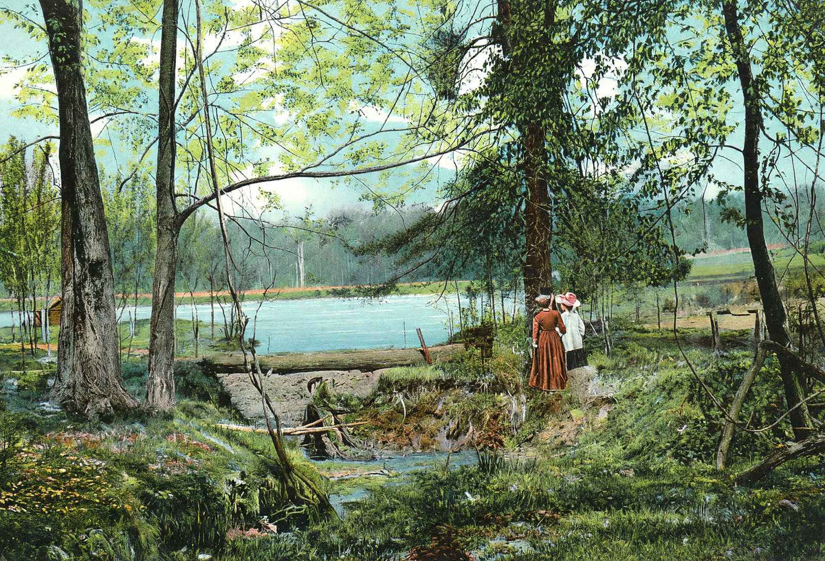 Swan Lake, Overton Park, Memphis, TN in 1905 vintage print
